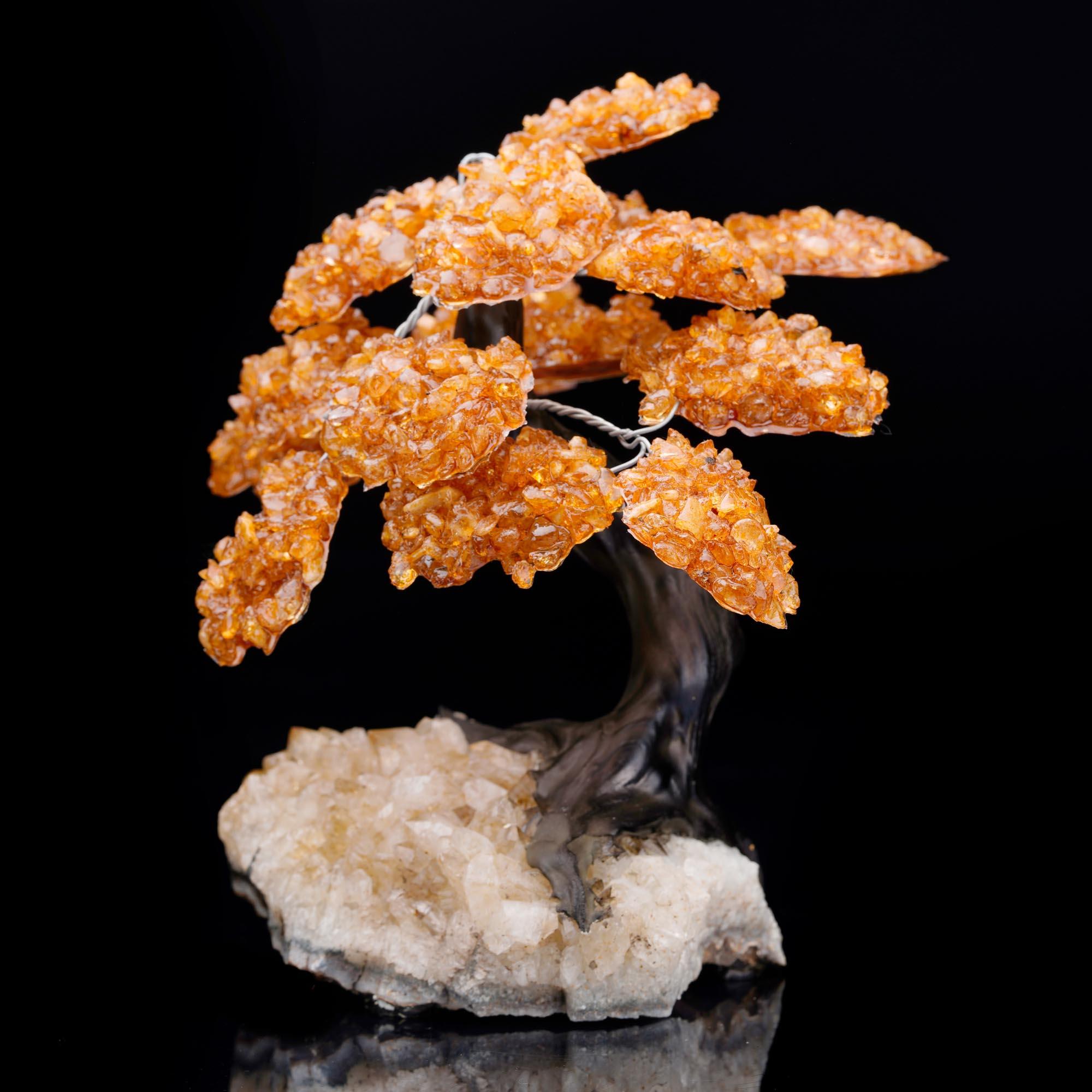 Brazilian Citrine Gem Tree on Citrine Cluster Base For Sale