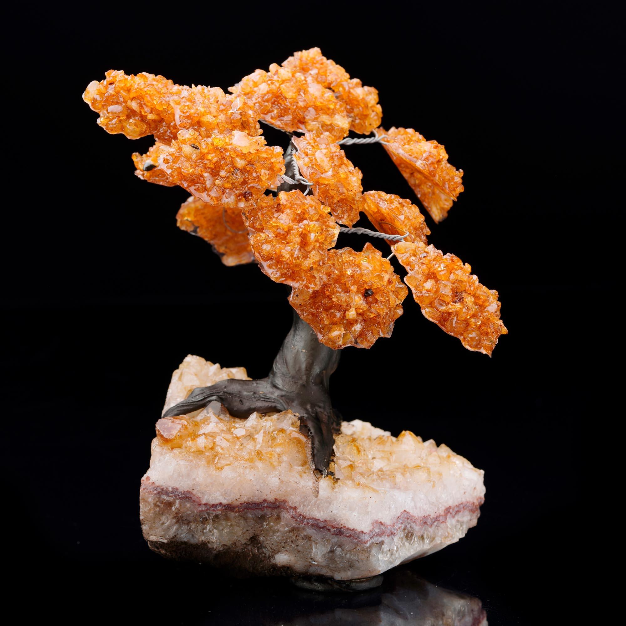 Citrine Gem Tree on Citrine Cluster Base In New Condition For Sale In New York, NY