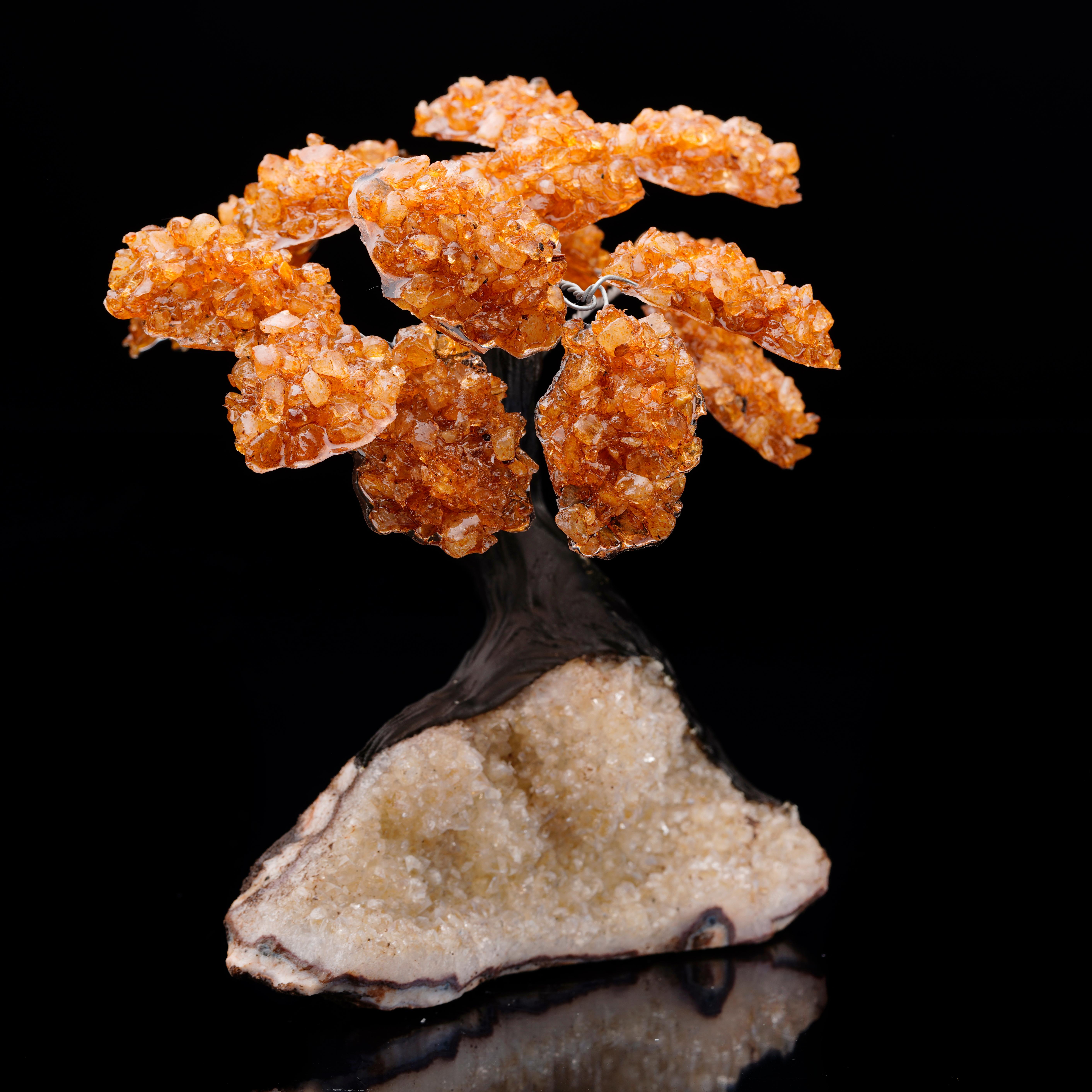Brazilian Citrine Gem Tree on Quartz Cluster Base For Sale