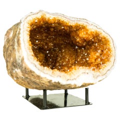 Cueva de Geoda de Citrino con Drusa Naranja Dorada y Flores de Citrino, Rara y Natural