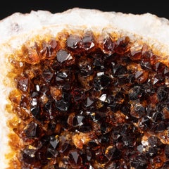 Citrine Quartz Crystal Cluster on Metal Stand (7", 2.6 lbs)