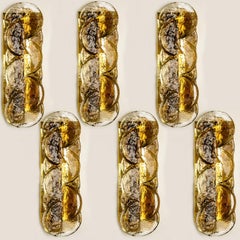Citrus Swirl Smoked Glass Wall Lights or Sconces from J.T. Kalmar, 1968