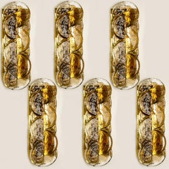 Citrus Swirl Smoked Glass Wall Lights or Sconces from J.T. Kalmar, 1968