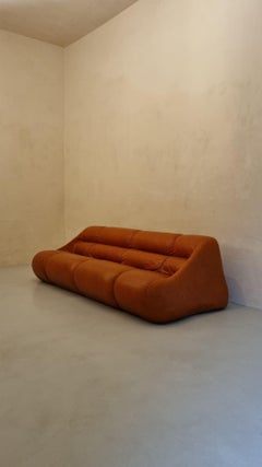Ciuingam sofa by De Pas D' Urbino & Lomazzi for BBB Bonacina, Italy 1967