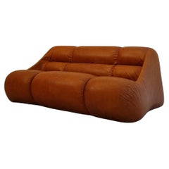 Sofa Ciuingam von De Pas D' Urbino & Lomazzi für BBB Bonacina, Italien 1967