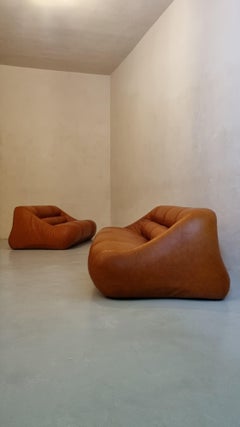 Ciuingam sofas by De Pas D' Urbino & Lomazzi for BBB Bonacina, Italy 1967