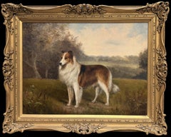 Fine English Dog Painting Collie Sheepdog Standing in Landscape Signed Original