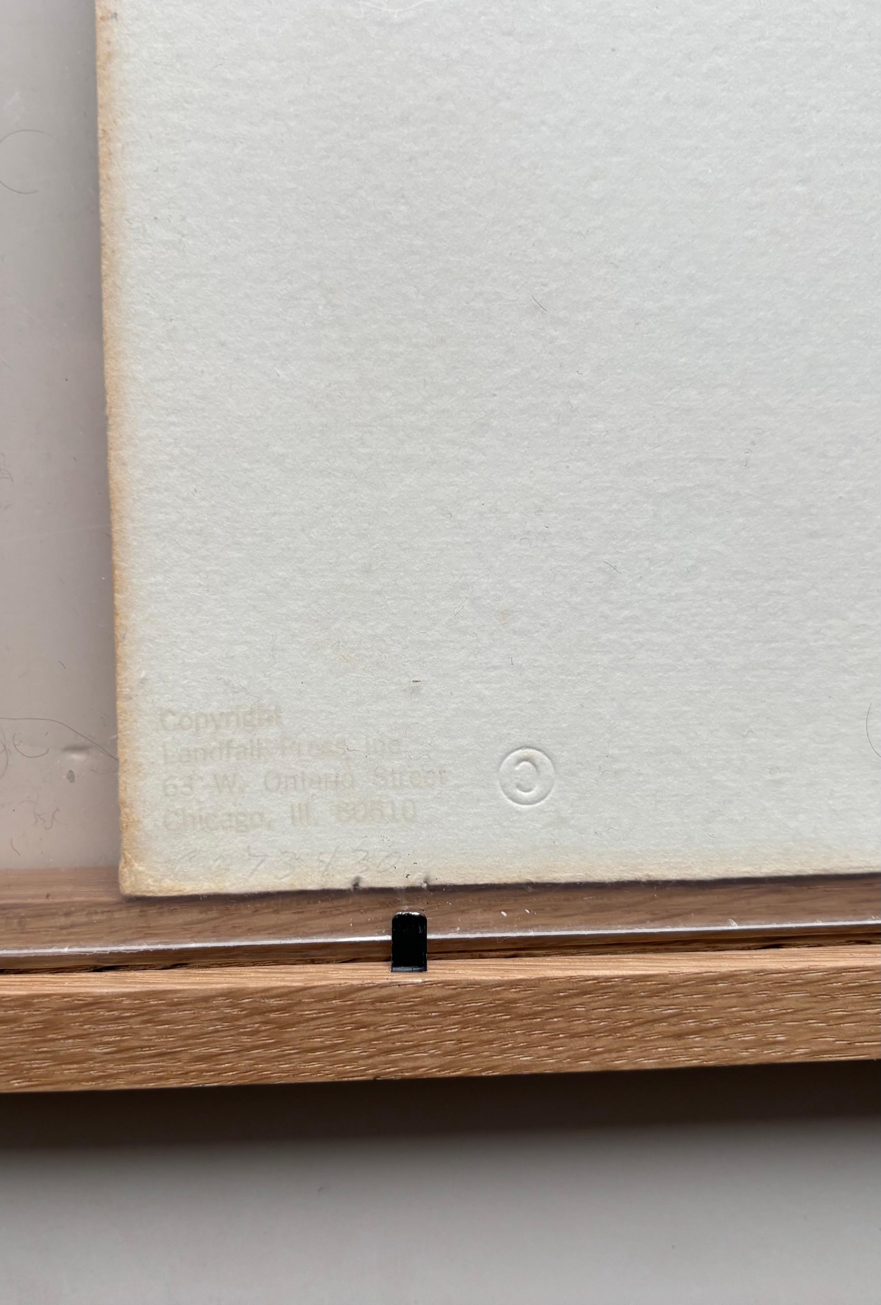 Claes Oldenburg Abstrakte abstrakte  Original Stehmütze und Handlithographie 1973 (Handgefertigt) im Angebot