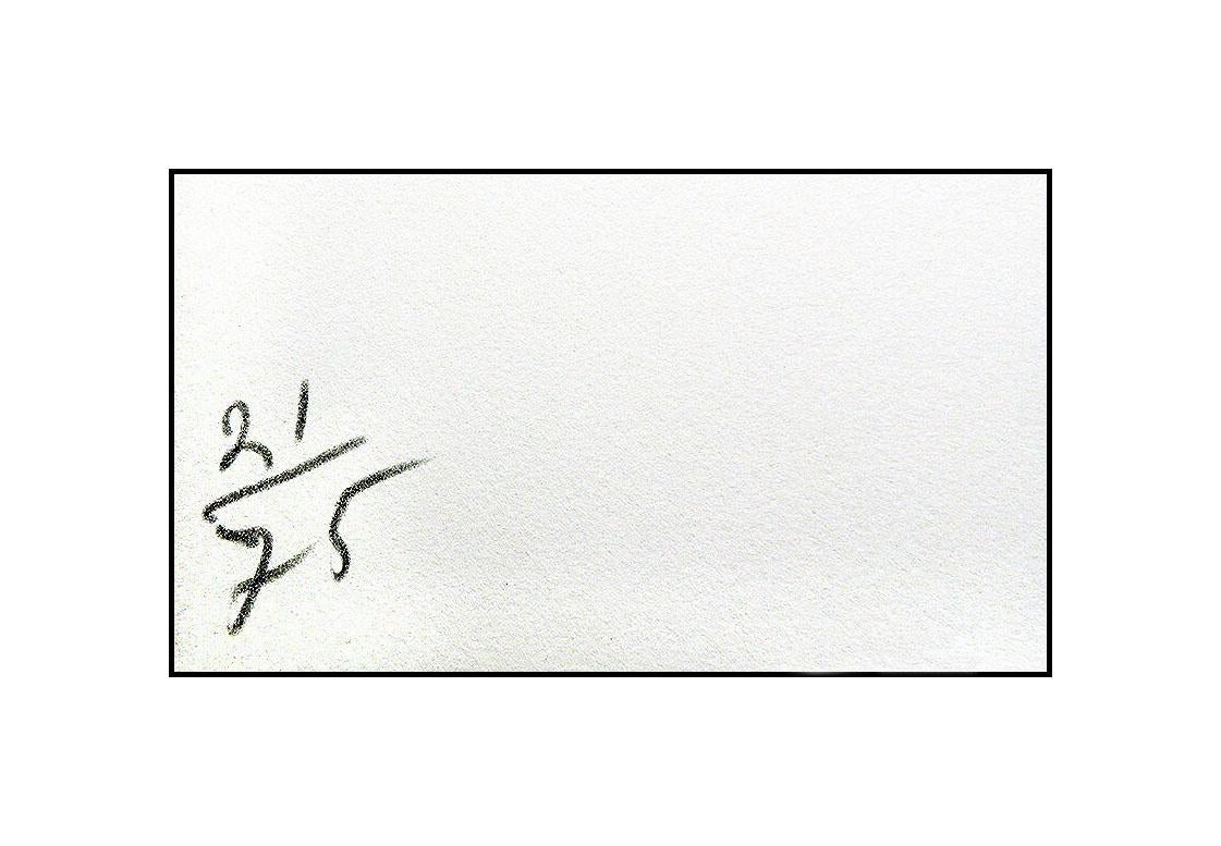 Claes Oldenburg Soft Pencil Sharpener Large Color Lithograph Hand Signed Artwork For Sale 3