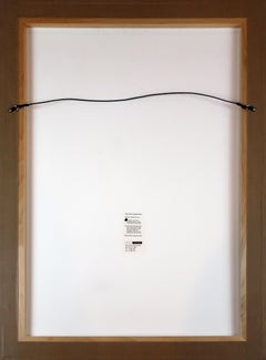 "School Bus Yellow, Adirondack Green, A Film by Coosje van Bruggen"