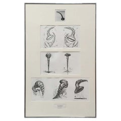 "The Soft Screws" Print by Claes Oldenburg Published by Gemini G.E.L