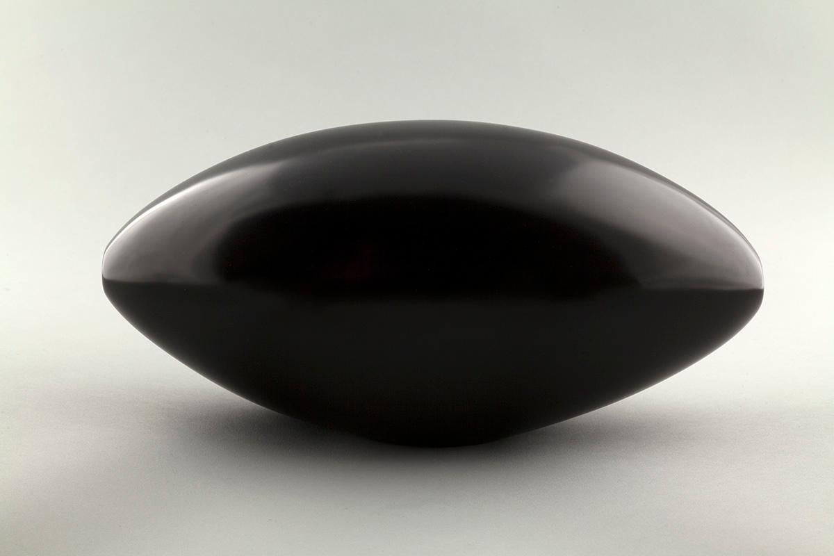 Claire Lieberman Still-Life Sculpture - Unidentified Dangerous Beautiful Object, hand carved black marble