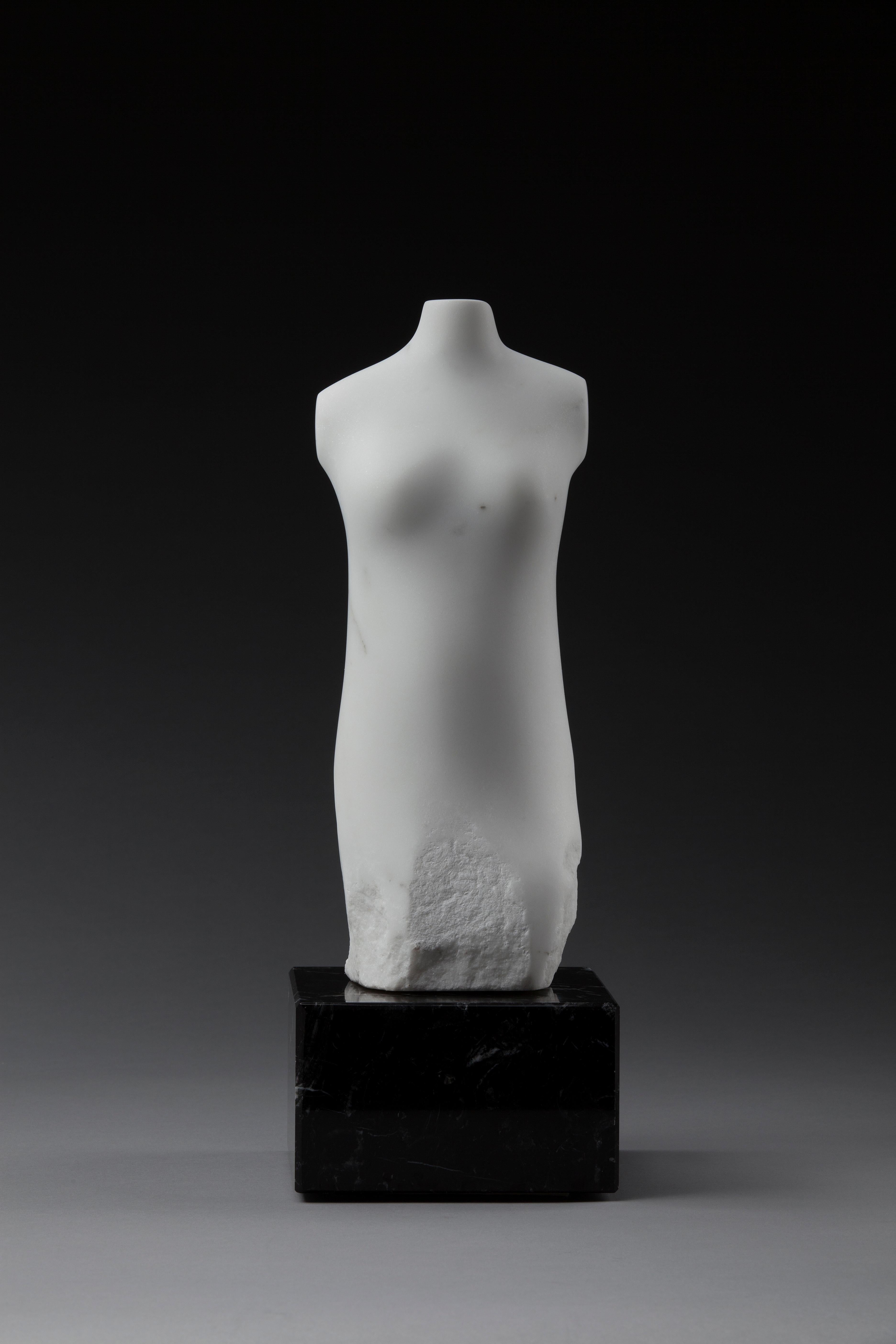 Claire McArdle Figurative Sculpture - Torso Marble