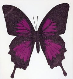 Papilio Ulysses – Aubergine, handgefertigter Siebdruck, Schmetterlingskunst, Diamantstaub