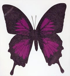 Papilio Ulysses Quadtych