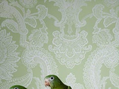 Canary Wing Bee Bee No. 7746 - Green & white Victorian wallpaper bird portrait