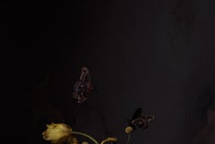 Rattlesnake and Tulips -  Dark golden yellow tulip bouquet w/ snake & moths