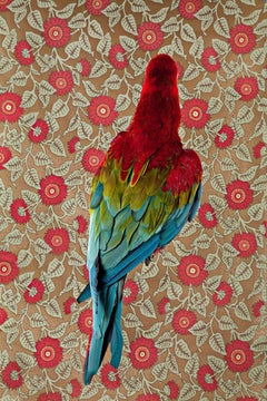 Red and Green Macaw No. 7301 - Victorian parrot portrait with colorful feathers