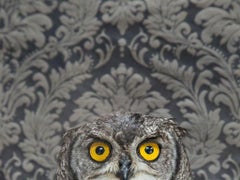 Spotted Eagle Owl No. 7261 - Gray owl w/ yellow eyes, floral Victorian wallpaper