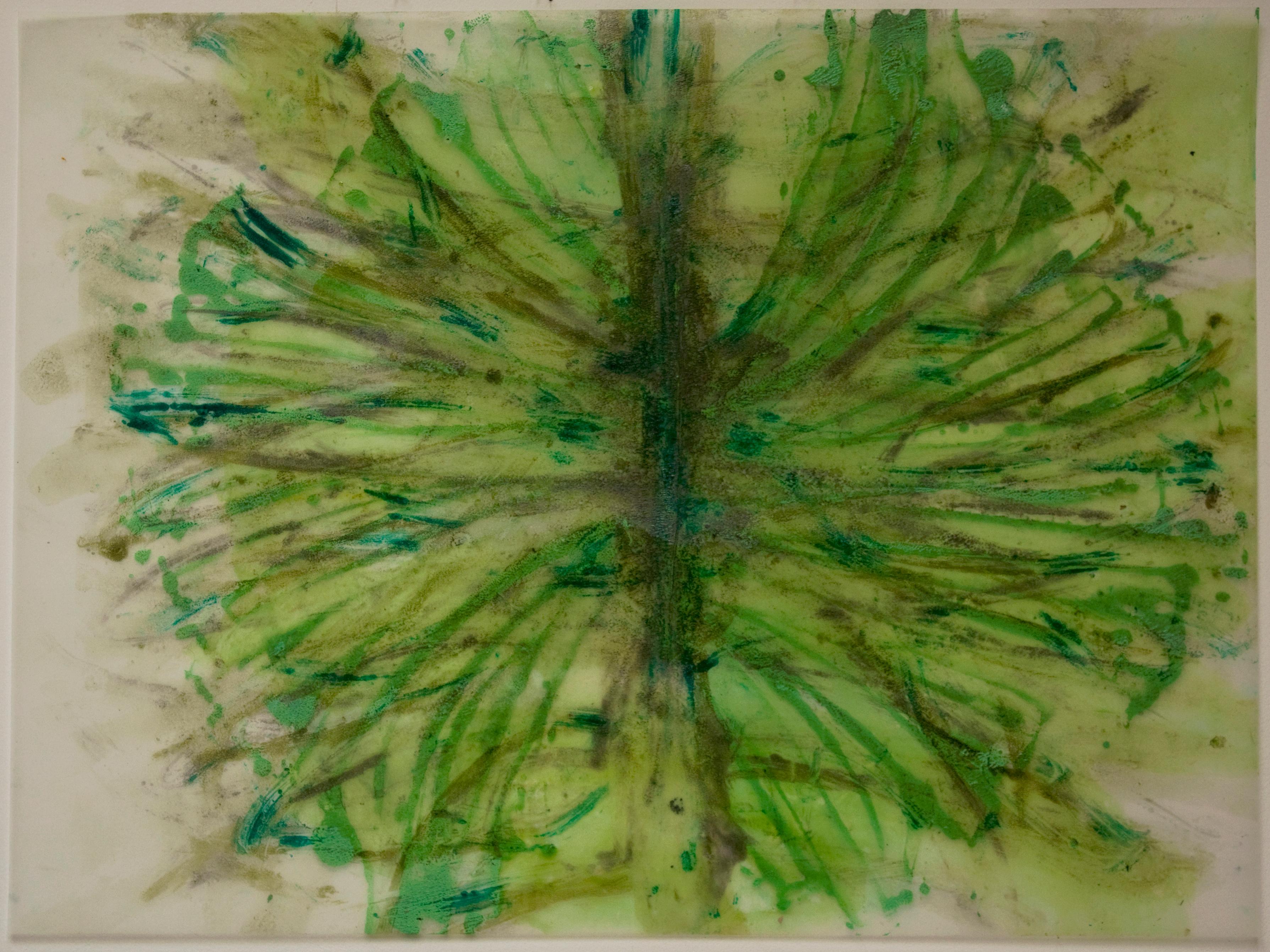 Green Tree or Moth - Mixed Media Art by Claire Seidl