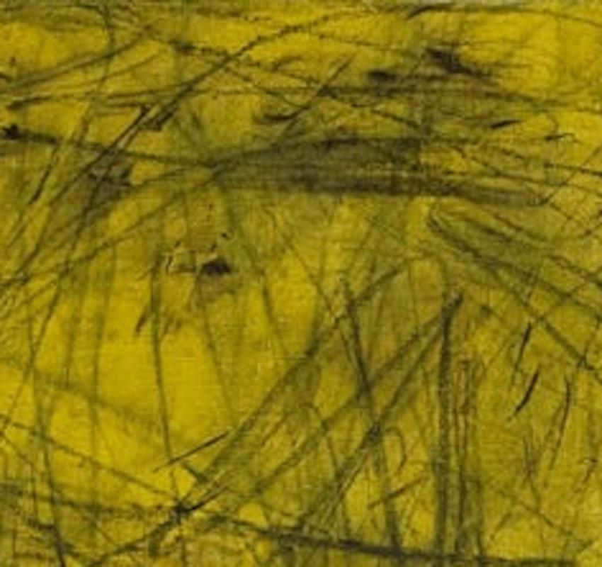 ‘What Do You Mean What Do I Mean’, an expressionistic abstraction in transparent yellows,  reveals graphite lines on under layers, displaying the artist’s improvisational achievement in bravura color and  gesture. 

Claire Seidl is an abstract