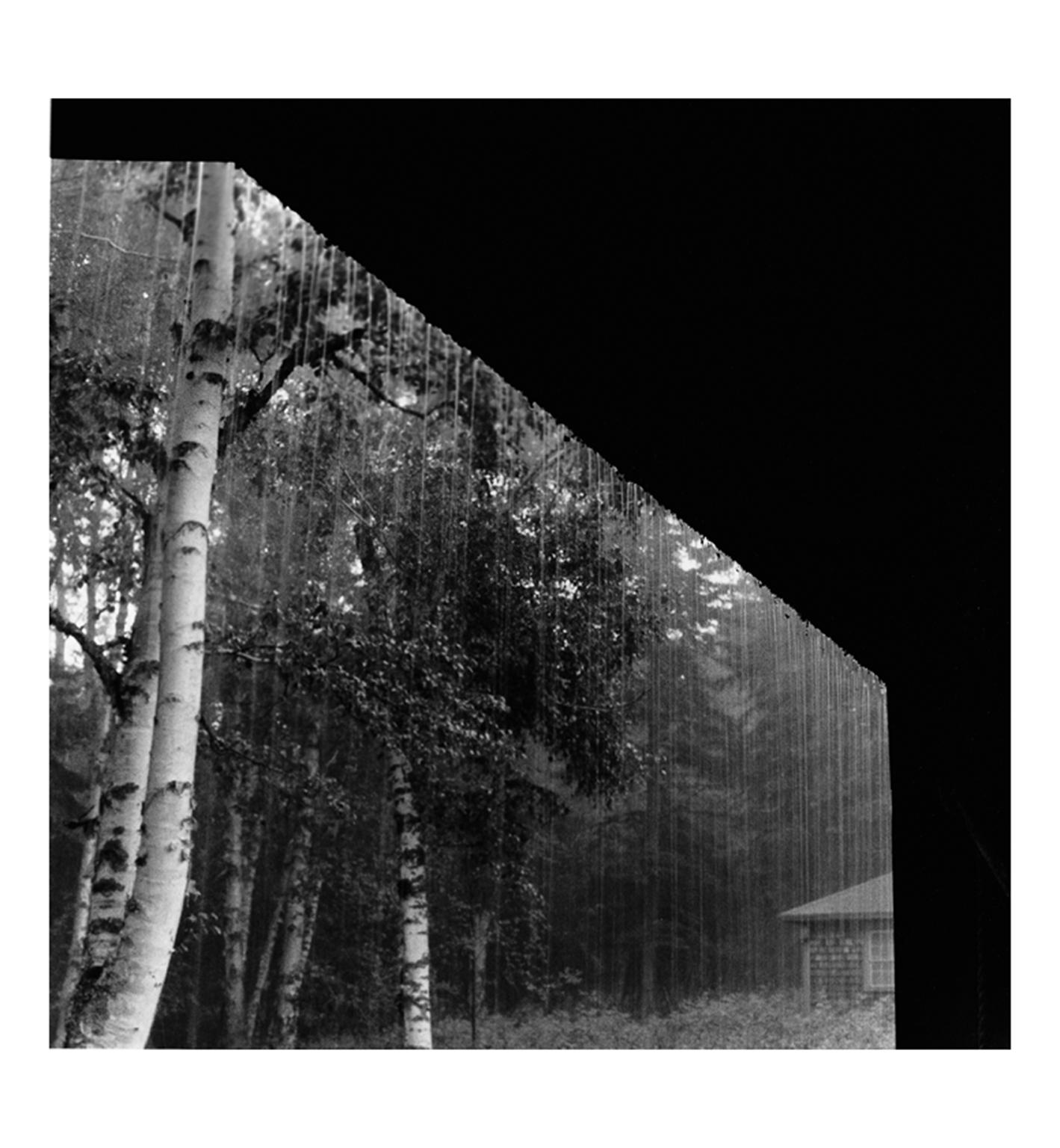 Claire Seidl Black and White Photograph - Rain