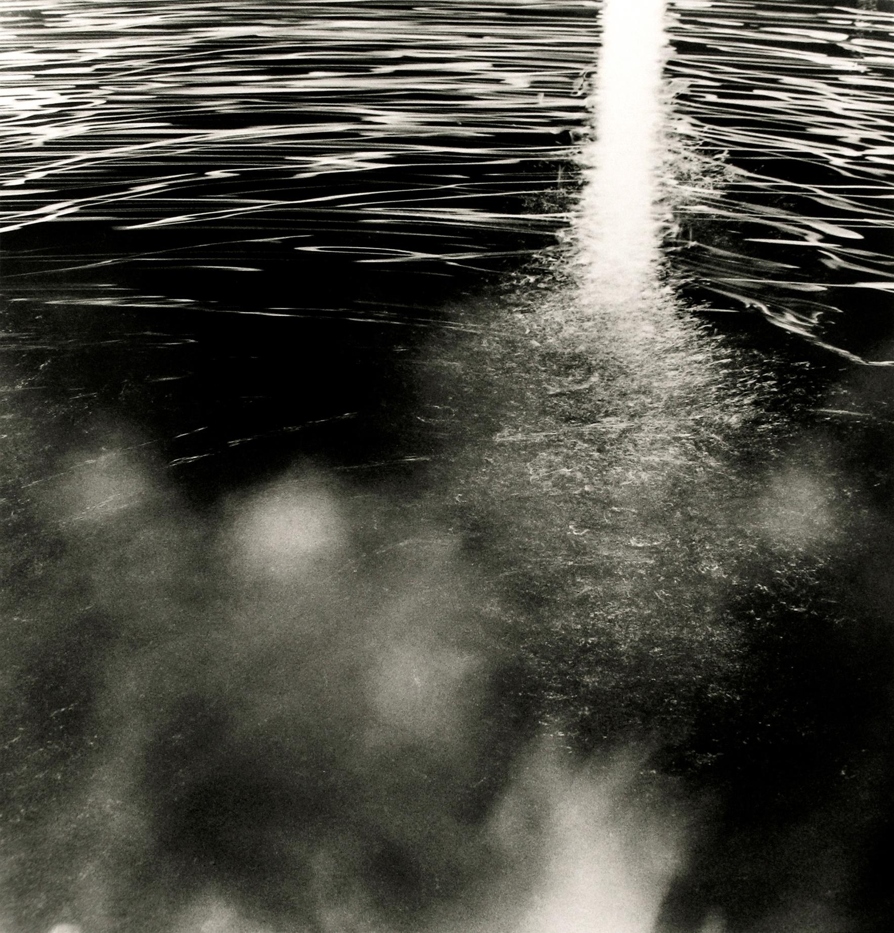 Claire Seidl Abstract Photograph - Swimmers, Moonlight 