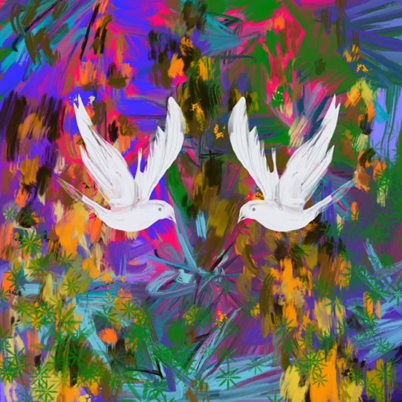 Two Doves, vibrant, abstract, signed, print, great reviews - Art by Claire Westwood
