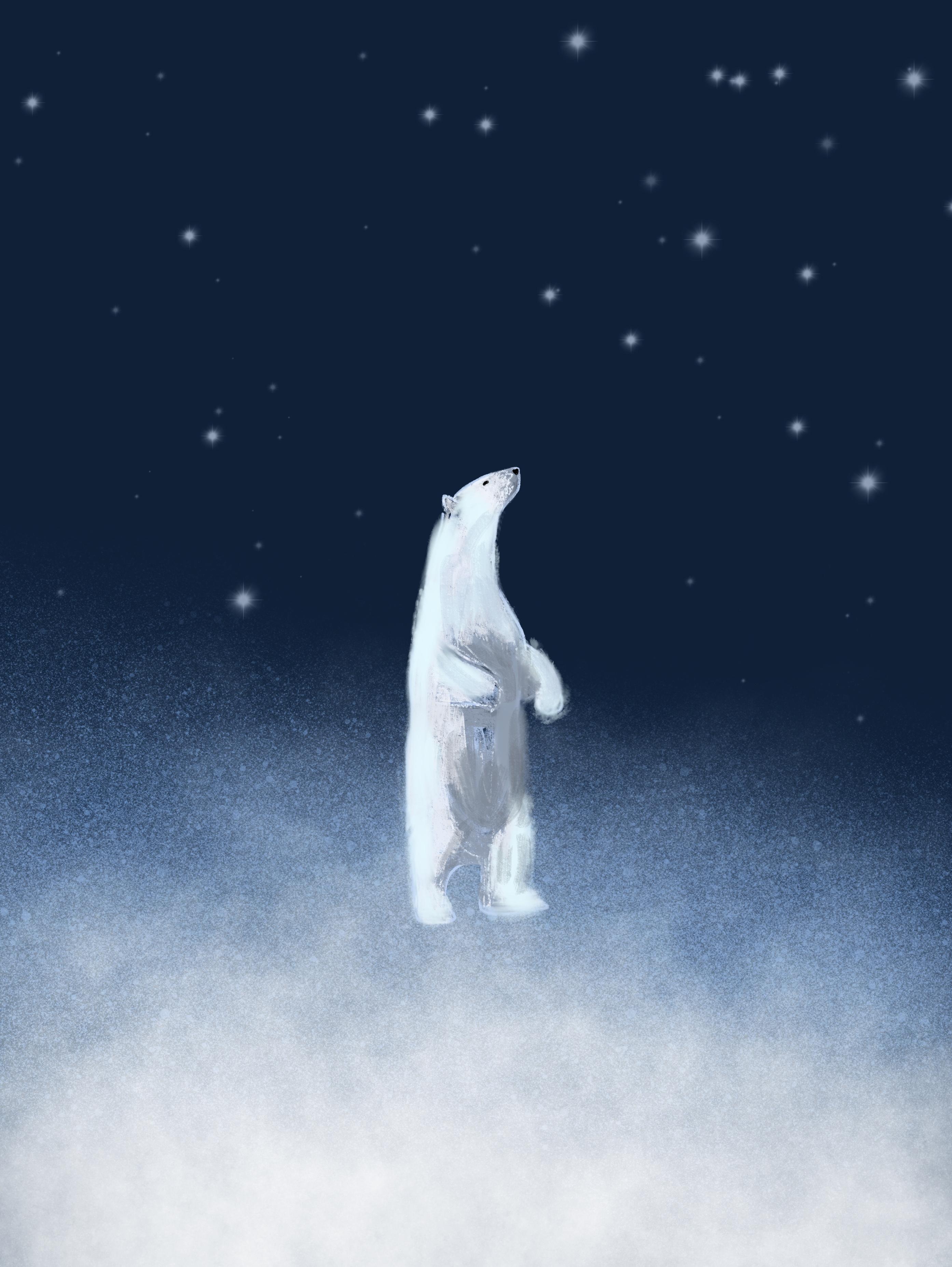 White Bear limited edition print xmas ideas stars dark blue sky signed  - Art by Claire Westwood
