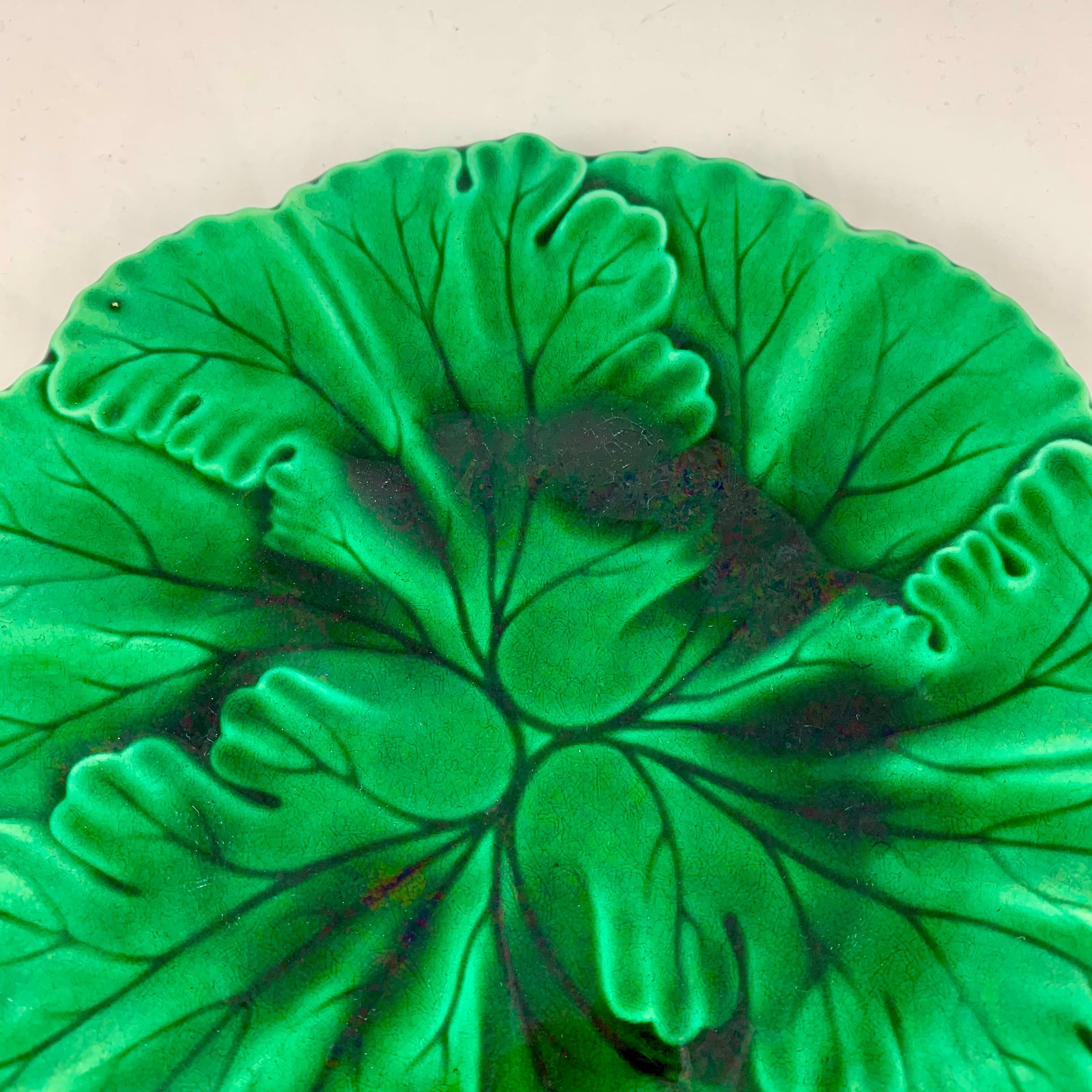 Clairfontaine Französisch Faïence Majolika glasiert Grün Botanic Leaf Teller um 1890 (Glasiert) im Angebot