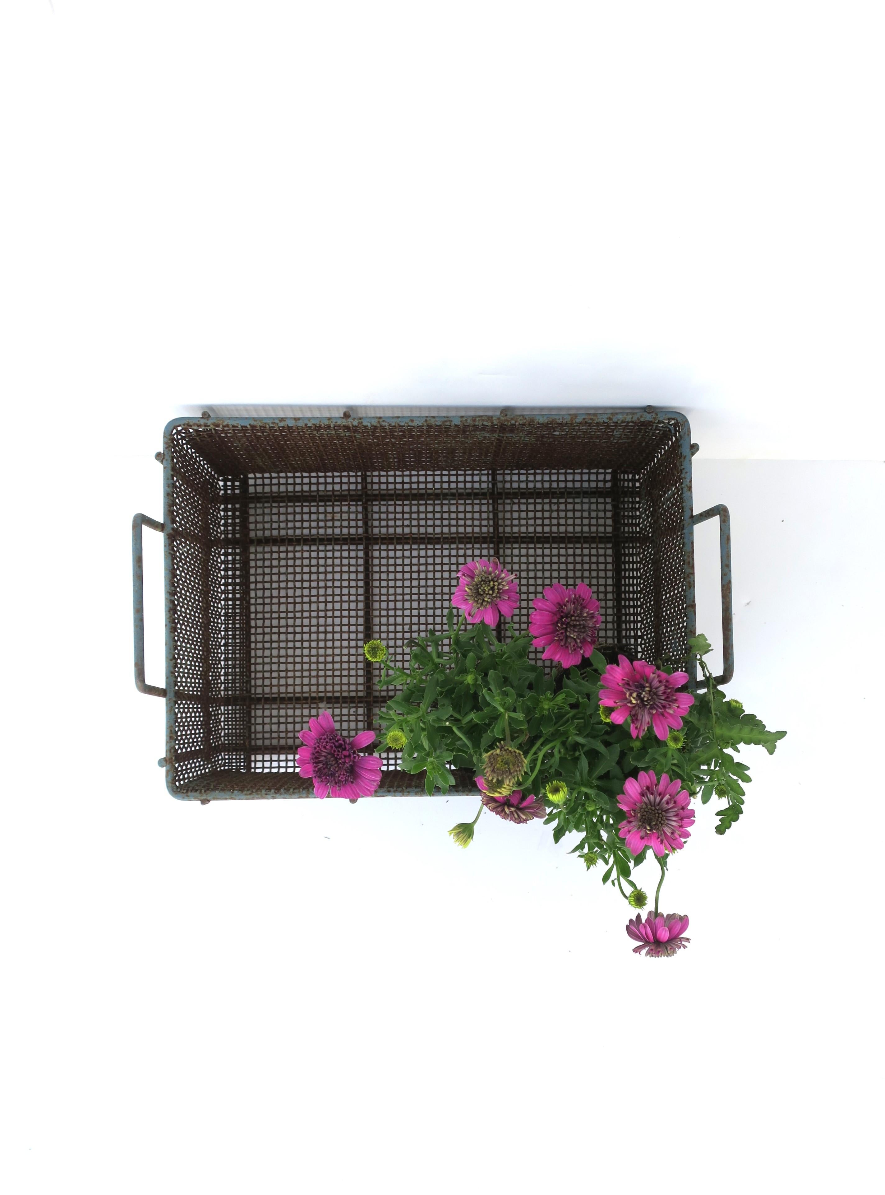 Peint à froid Panier en osier fil de fer en vente