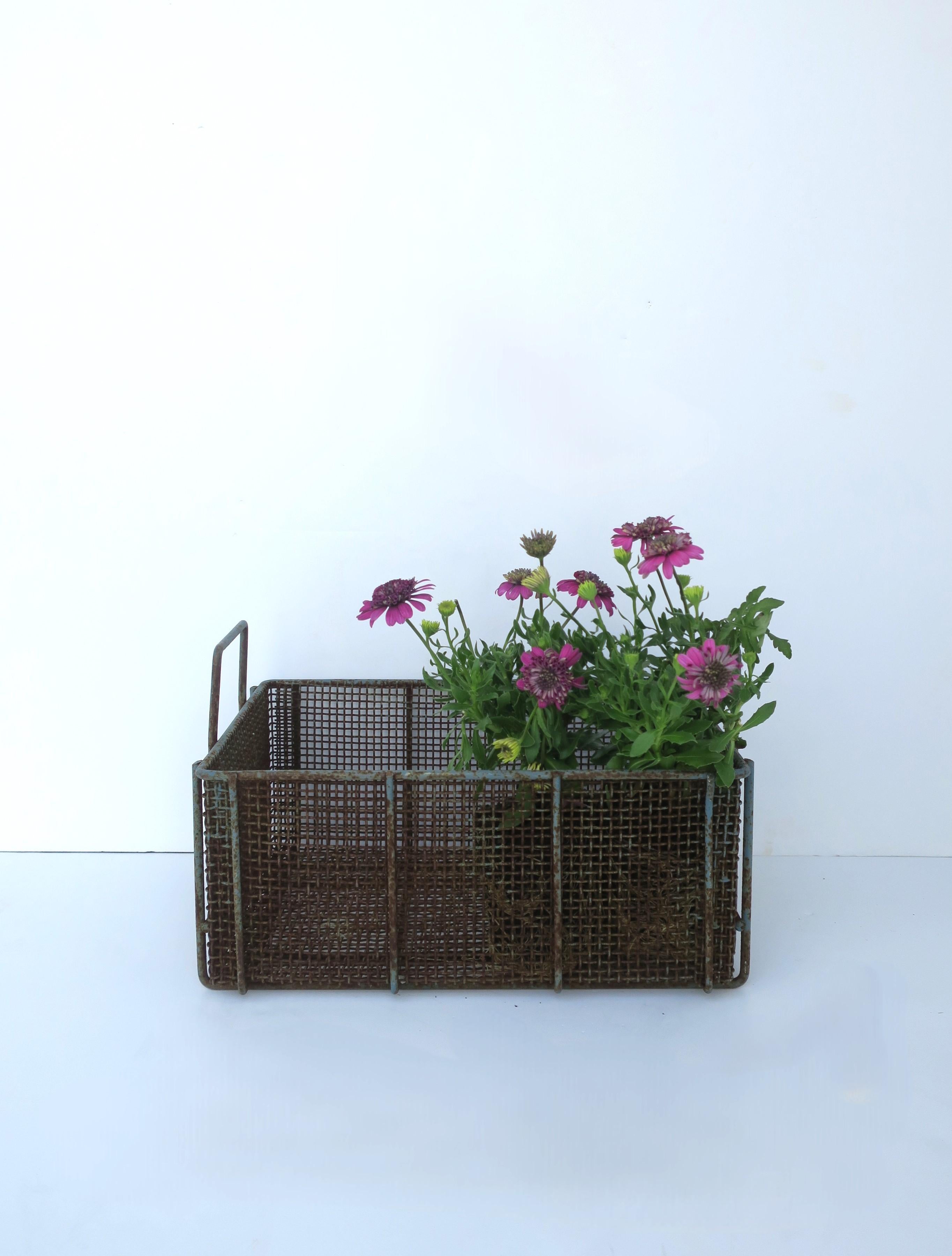 Industriel Panier en osier fil de fer en vente