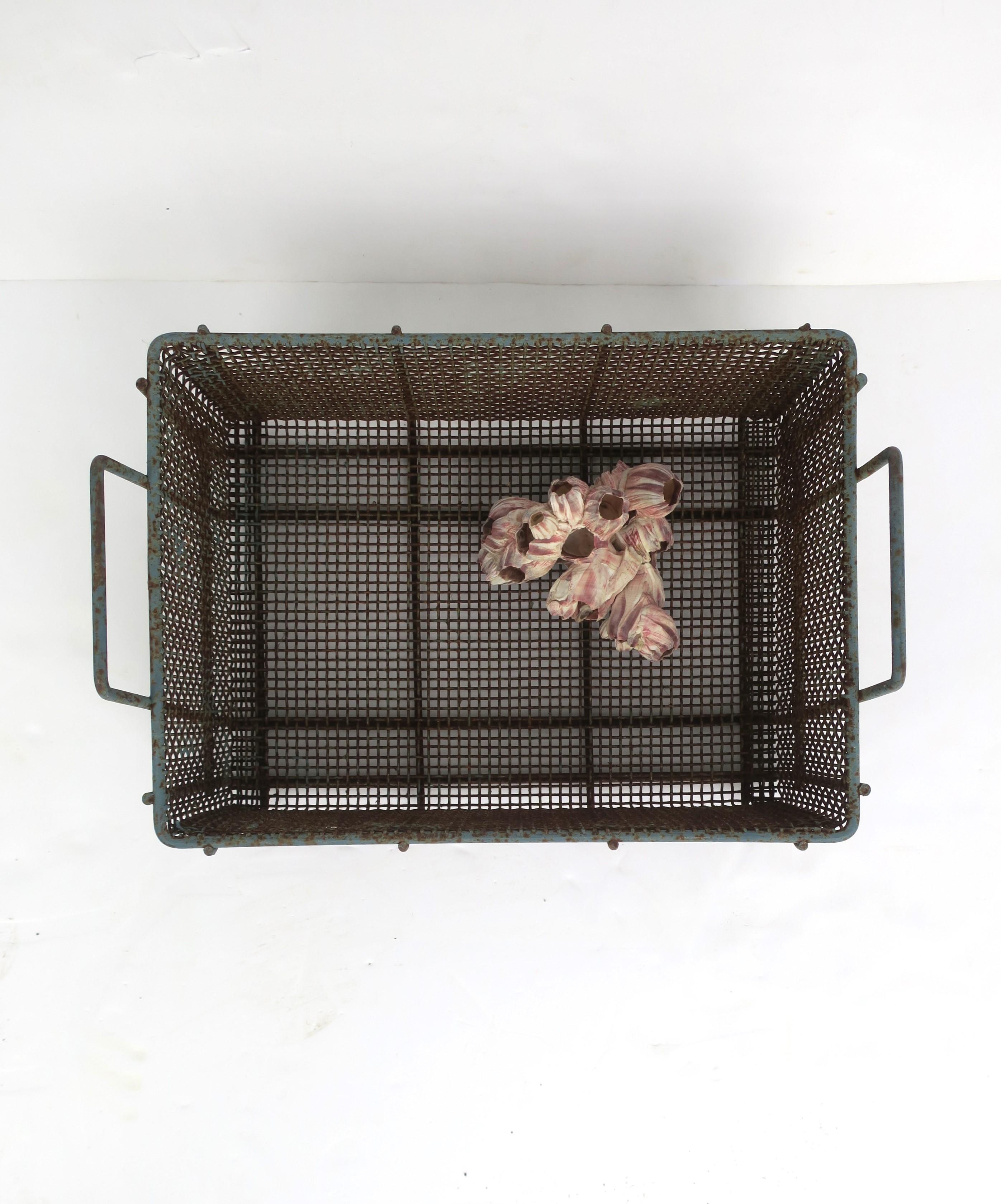 20th Century Clam or Shellfish Vintage Iron Wire Basket For Sale