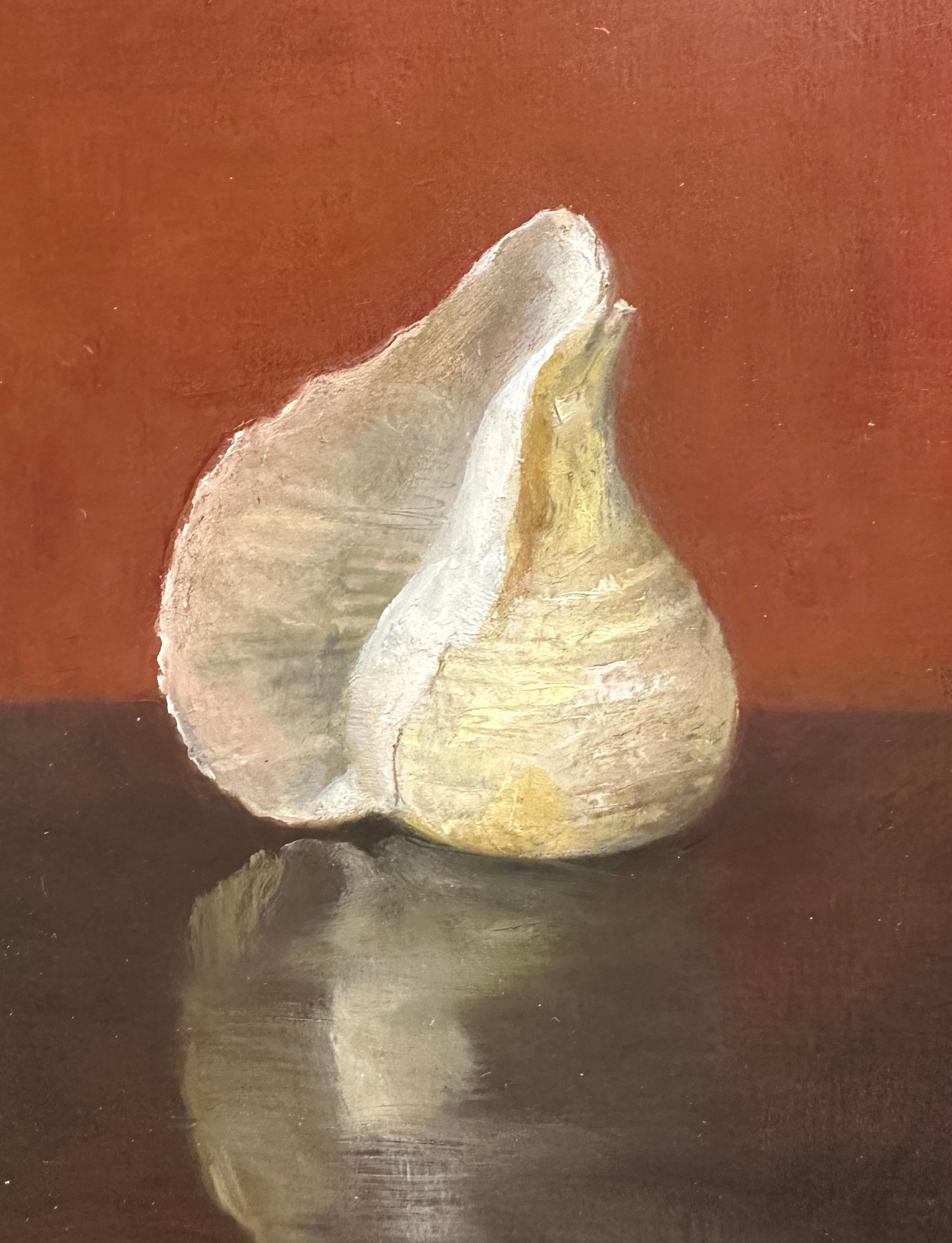 Clam Shell and Onion Shell, Oil on Panel Still Life Painting with Two Sea Shells In New Condition In Chicago, IL
