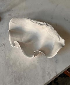 Clam Shell Plaster Sculpture
