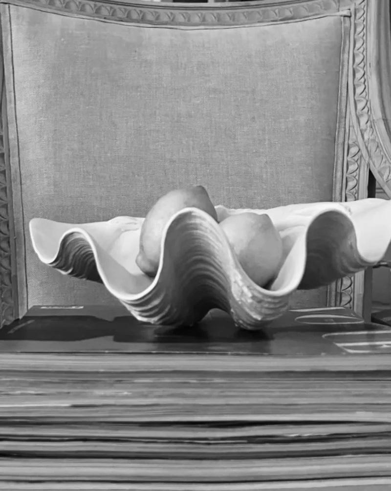 Scultura in gesso con guscio di vongola In condizioni Nuovo in vendita a PRAHA 7, CZ