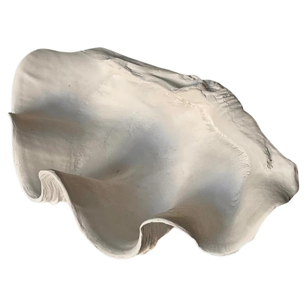 Intonaco Scultura in gesso con guscio di vongola in vendita