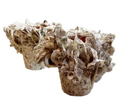 Clam Shell Pots - A Pair