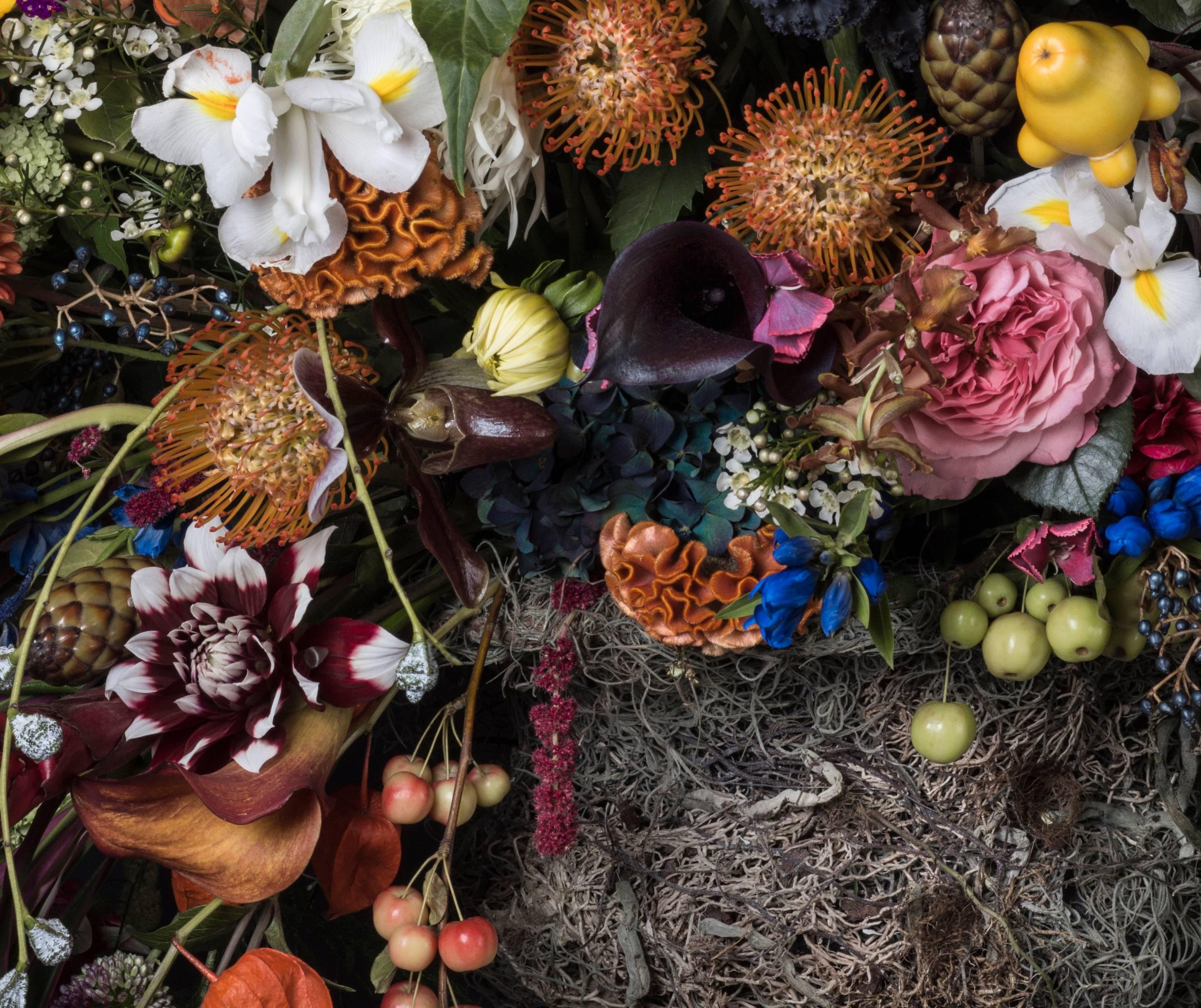 weltweite Wurzeln 4 (Zeitgenössisch), Photograph, von Clara Hallencreutz