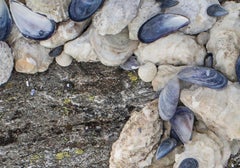 Mother of Pearls in the C’s