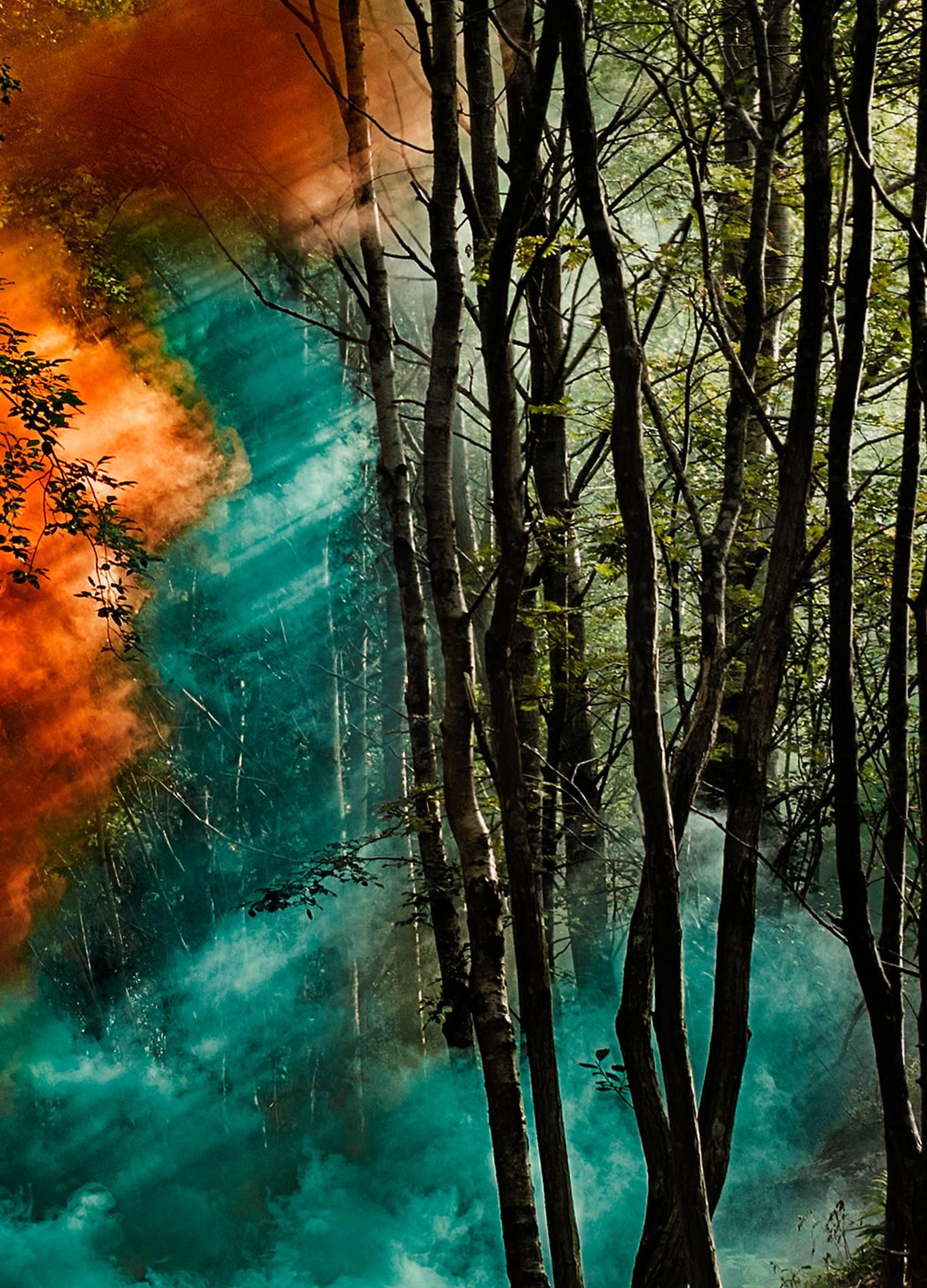 Signalisierend für die Natur – Wald – Photograph von Clara Hallencreutz