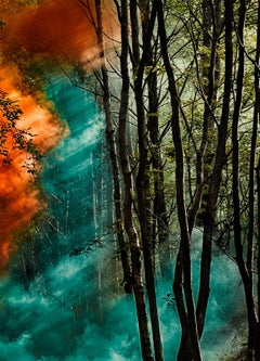 Señalización de la naturaleza - Bosque