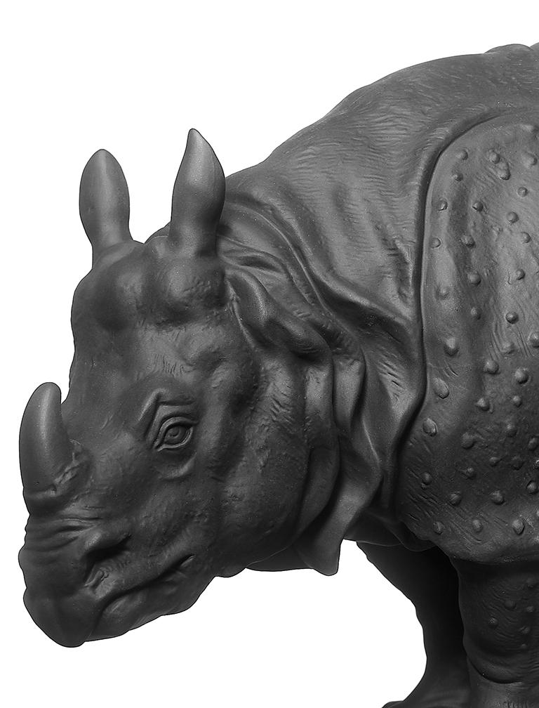 An inspiration for artists, musicians and poets since the 18th Century: the armored rhinoceros Clara remains the topic of conversation and at the center of attention.
Clara is an icebreaker, a typical conversational piece. This used to be the