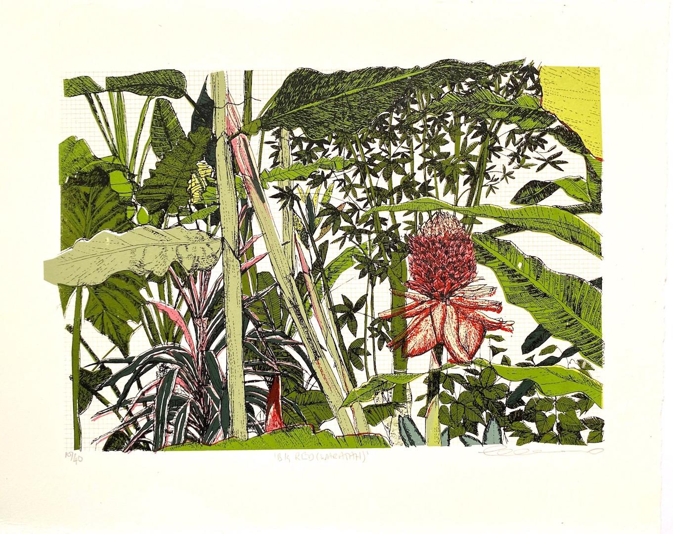 Clare Halifax, Big Red (Waratah), Limited Edition Print, Floral Art