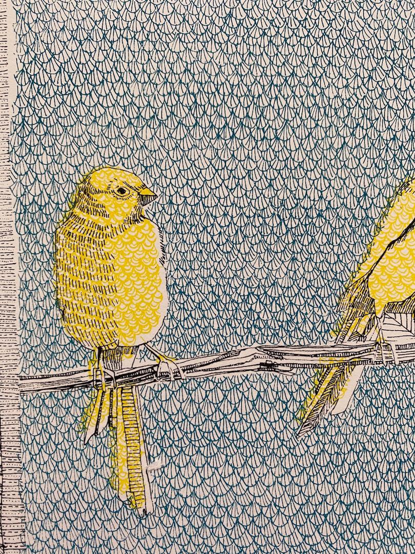 Clare Halifax, C Is for Canary, Silkscreen Print, Bird Art, Art Online For Sale 3