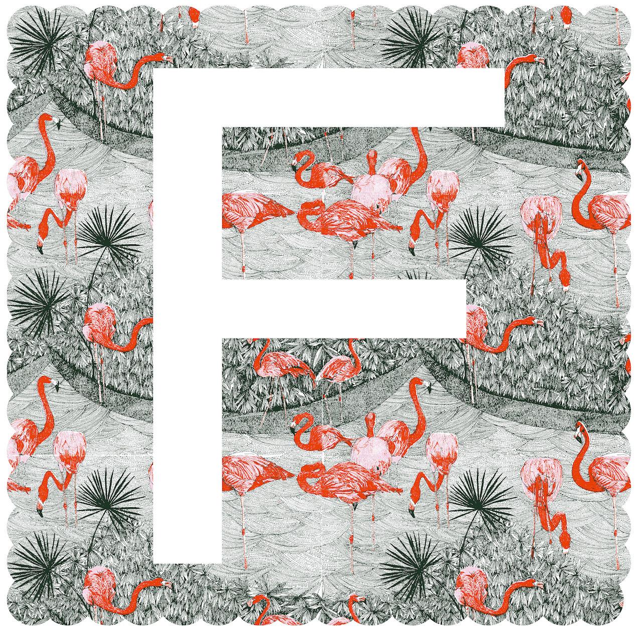 Clare Halifax, F de Flamingo, Letra alfabética de edición limitada, Arte brillante