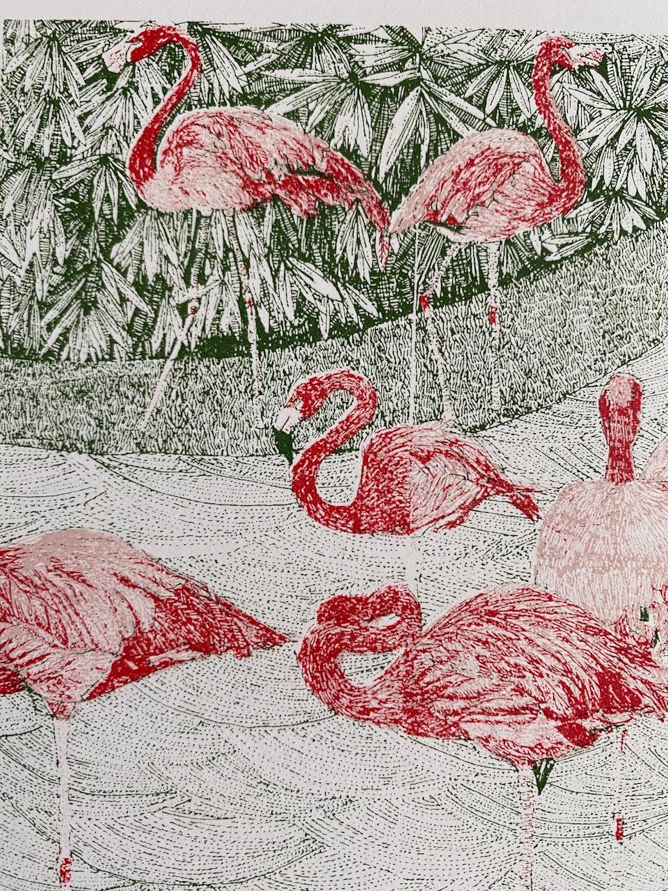 Clare Halifax, F is for Flamingo, Limited Edition Alphabet Print, Bright Art For Sale 3