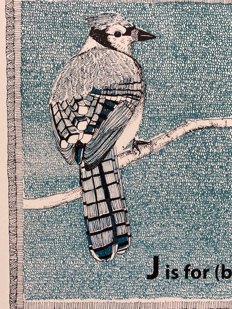 Clare Halifax, J is for (Blue) Jay, Stampa in edizione limitata, Arte degli uccelli in vendita 1
