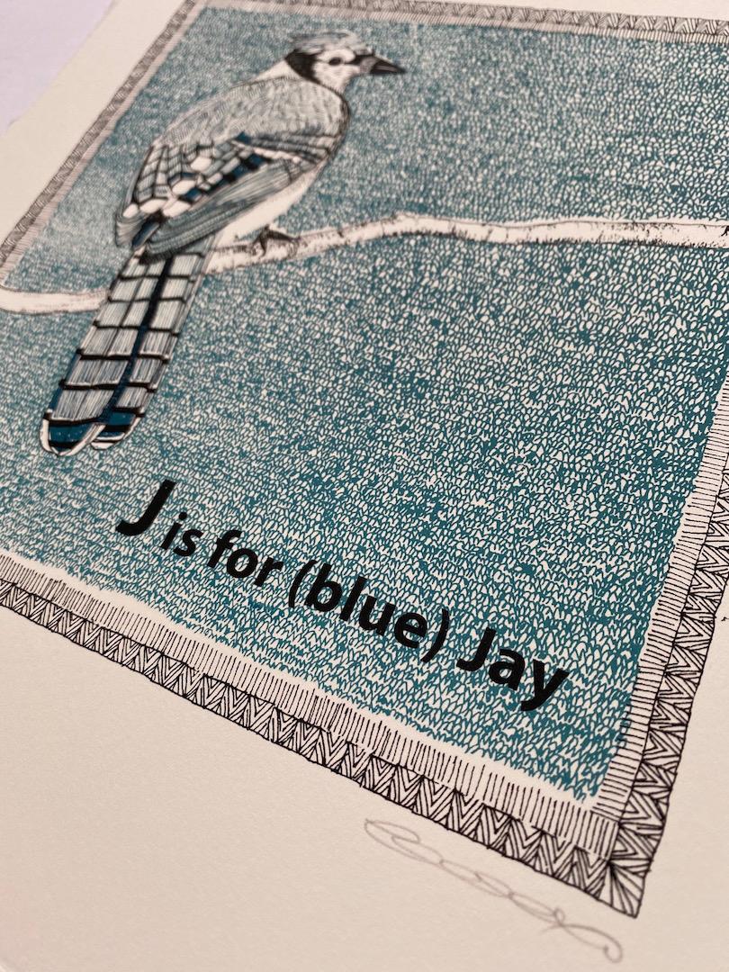 Clare Halifax, J is for (Blue) Jay, Limited Edition Print, Bird Art 1