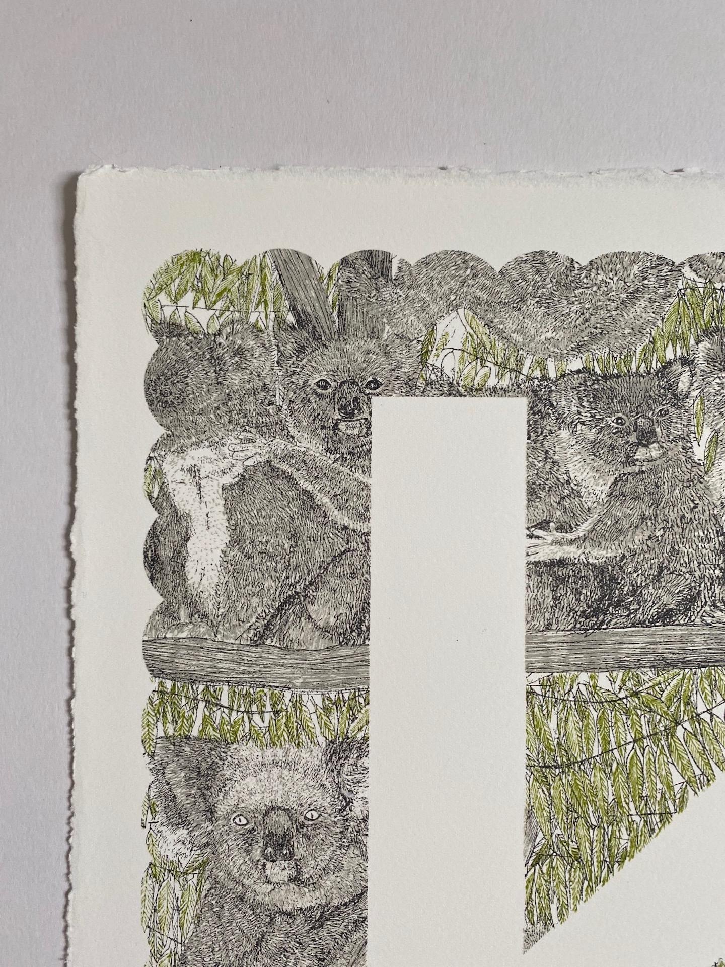 Clare Halifax, K is for Koala, Limited Edition Print, Animal Print, Monogram Art For Sale 1